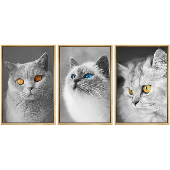 wall26 3 Panel Framed Canvas Wall Art - Cute Cats Partially Colored Eyes - Giclee Print Gallery Wrap Modern Home Art Ready to Hang - 16"x24"x3 Natural