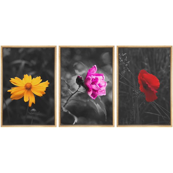 wall26 3 Panel Framed Canvas Wall Art - Touch of Color Flowers on Black and White Background - Giclee Print Gallery Wrap Modern Home Art Ready to Hang - 16"x24"x3 Natural