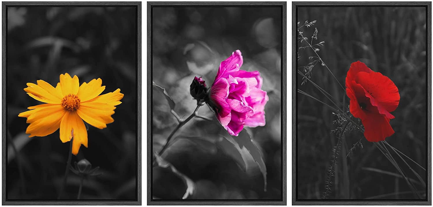 wall26 3 Panel Framed Canvas Wall Art - Touch of Color Flowers on Black ...