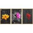 thumbnail image 1 of wall26 3 Panel Framed Canvas Wall Art - Touch of Color Flowers on Black and White Background - Giclee Print Gallery Wrap Modern Home Art Ready to Hang - 24"x36"x3 Natural, 1 of 5