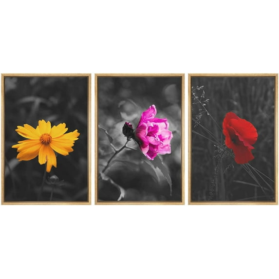 wall26 3 Panel Framed Canvas Wall Art - Touch of Color Flowers on Black and White Background - Giclee Print Gallery Wrap Modern Home Art Ready to Hang - 24"x36"x3 Natural