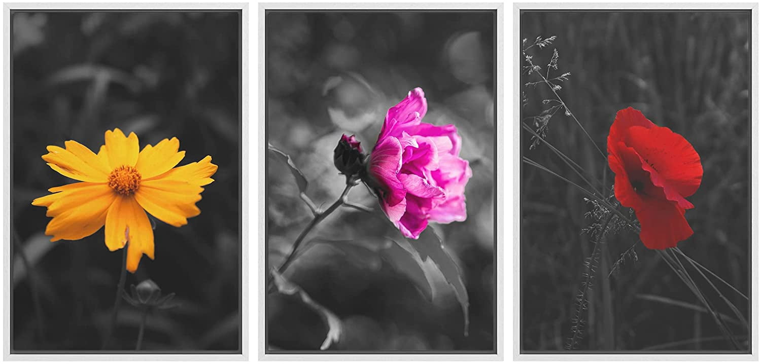 wall26 3 Panel Framed Canvas Wall Art - Touch of Color Flowers on Black ...