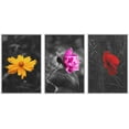 thumbnail image 1 of wall26 3 Panel Framed Canvas Wall Art - Touch of Color Flowers on Black and White Background - Giclee Print Gallery Wrap Modern Home Art Ready to Hang - 24"x36"x3 White, 1 of 5