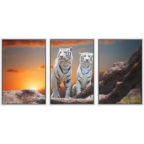 wall26 - 3 Panel Framed Canvas Wall Art - Two White Tigers at Sunset Time - Giclee Print Gallery Wrap Modern Home Art Ready to Hang - 16"x24"x3 WHITE