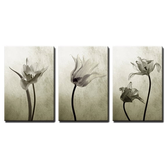 wall26 - 3 Piece Canvas Wall Art - Abstract Transparent Tulips in Back Light - Modern Home Art Stretched and Framed Ready to Hang - 16"x24"x3 Panels