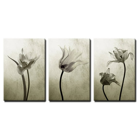 wall26 - 3 Piece Canvas Wall Art - Abstract Transparent Tulips in Back Light - Modern Home Art Stretched and Framed Ready to Hang - 24"x36"x3 Panels