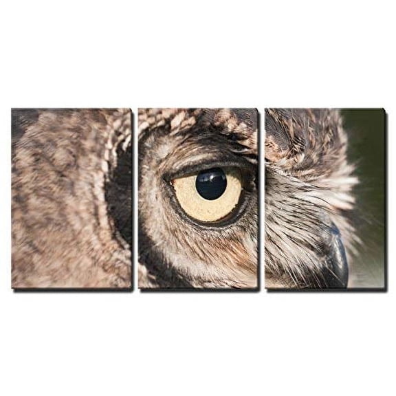 wall26 3 Piece Canvas Wall Art - American Owl, Bubo Virginianus, with Yellow Eyes - Modern Home Art Stretched and Framed Ready to Hang - 16"x24"x3 Panels