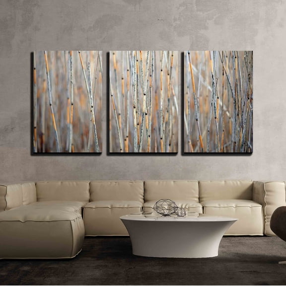 wall26 - 3 Piece Canvas Wall Art - Background of Stems of Dry Reeds - Modern Home Art Stretched and Framed Ready to Hang - 16"x24"x3 Panels