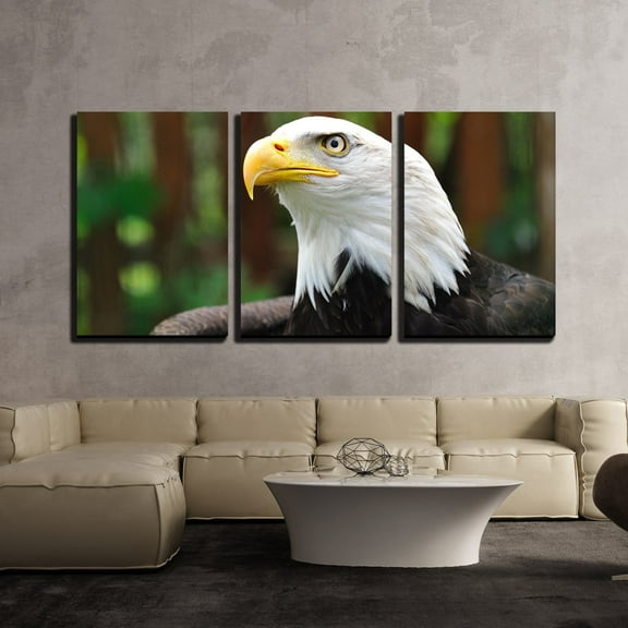 wall26 - 3 Piece Canvas Wall Art - Bald Eagle | Bird in Wildlife - Modern Home Art Stretched and Framed Ready to Hang - 24"x36"x3 Panels