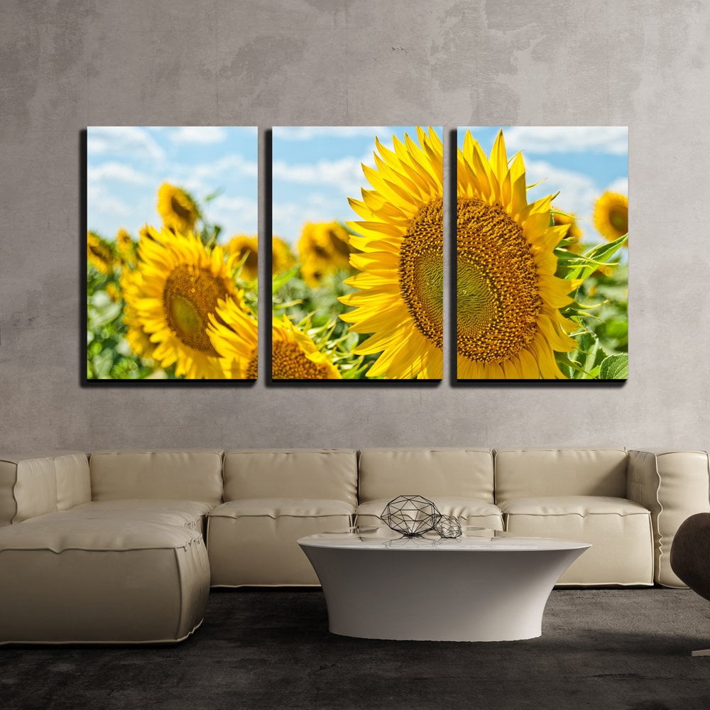 wall26 - 3 Piece Canvas Wall Art - Beautiful Field with Sunflower ...