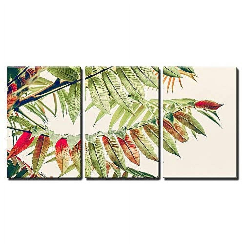 wall26 - 3 Piece Canvas Wall Art - Beautiful Green Red Leaves. Tropical ...