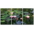 thumbnail image 1 of wall26 - 3 Piece Canvas Wall Art - Beautiful Lotus Flower in The Pond - Modern Home Art Stretched and Framed Ready to Hang - 24"x36"x3 Panels, 1 of 5