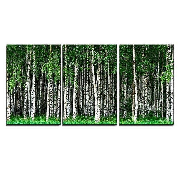 wall26 - 3 Piece Canvas Wall Art - Beautiful Swedish Summer Landscape with Grove of Birch Trees - Modern Home Art Stretched and Framed Ready to Hang - 24"x36"x3 Panels