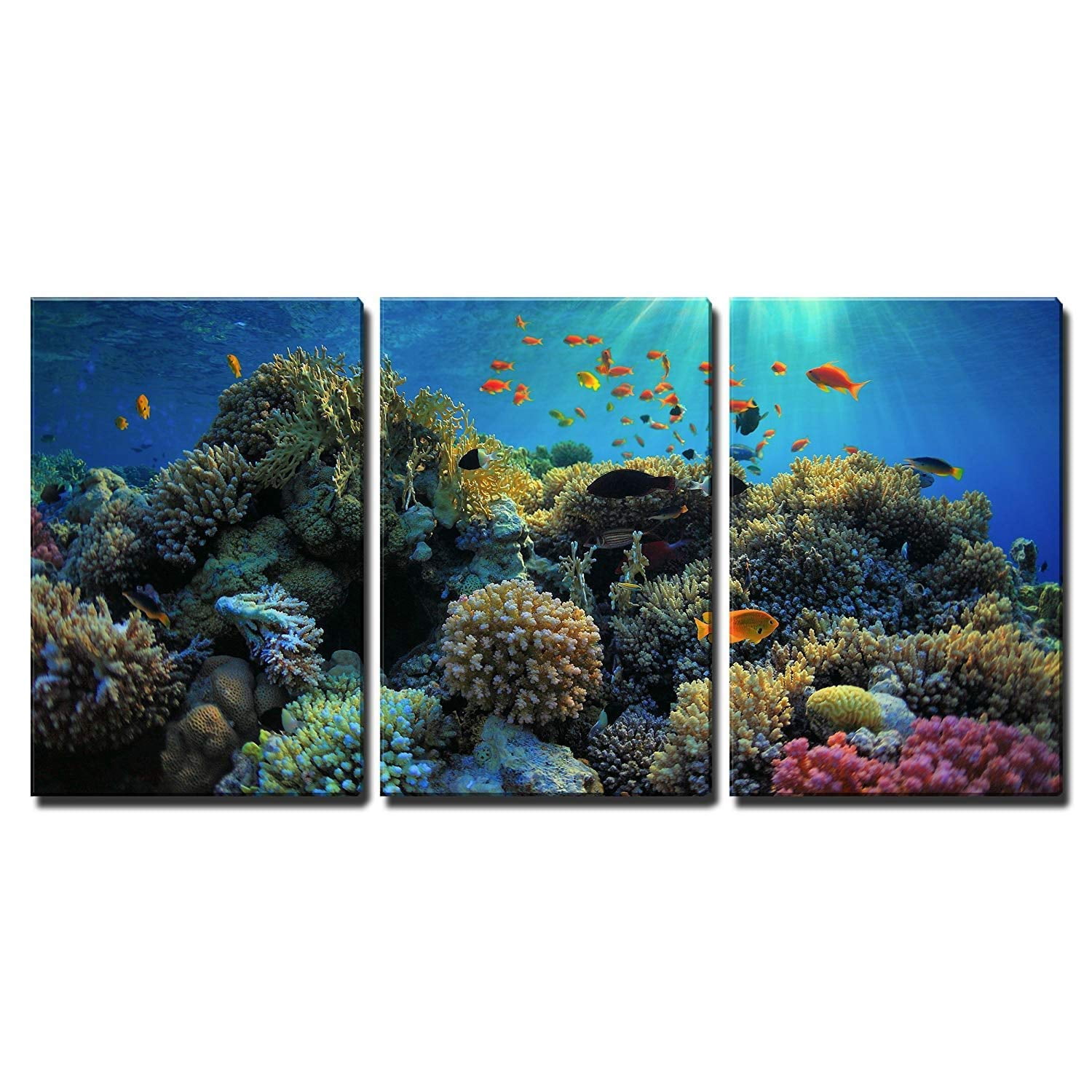 wall26 - 3 Piece Canvas Wall Art - Beautiful View of Sea Life - Modern ...