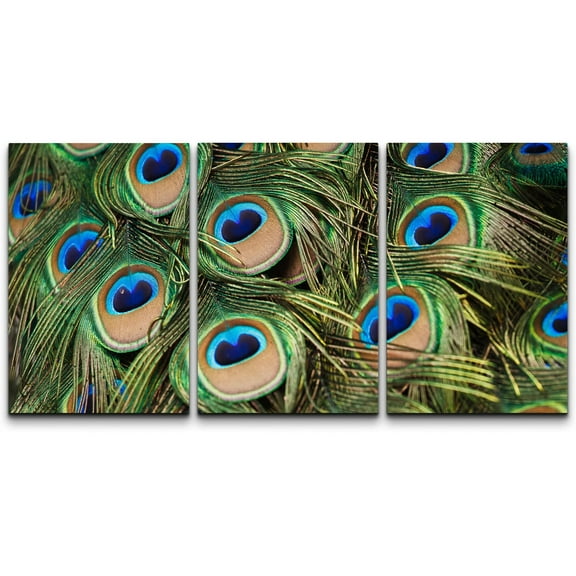 wall26 - 3 Piece Canvas Wall Art - Beautiful Vivid Peacock Feathers - Modern Home Art Stretched and Framed Ready to Hang - 24"x36"x3 Panels