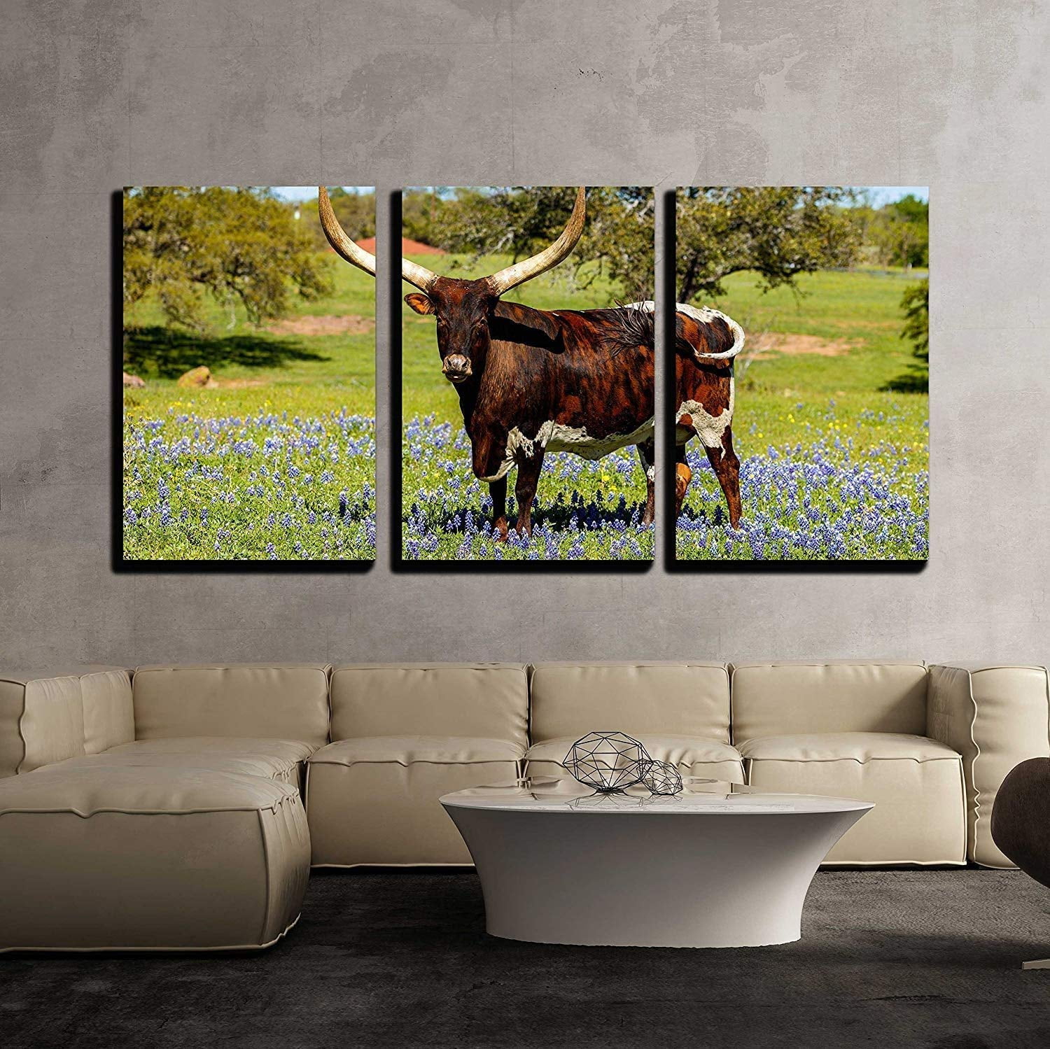 wall26 3 Piece Canvas Wall Art a Beautiful Watusi Longhorn Mix Bull