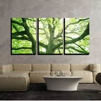wall26 - 3 Piece Canvas Wall Art - Big Tree in a Forest. Fresh Green and Ecology - Modern Home Art Stretched and Framed Ready to Hang - 24"x36"x3 Panels