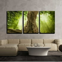 wall26 - 3 Piece Canvas Wall Art - Big Tree Roots and Sunshine in a Green Forest - Modern Home Art Stretched and Framed Ready to Hang - 16"x24"x3 Panels