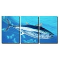 thumbnail image 1 of wall26-3 Piece Canvas Wall Art - Bluefin Tuna Thunnus Thynnus Saltwater Fish in Mediterranean - Modern Home Art Stretched and Framed Ready to Hang - 16"x24"x3 Panels, 1 of 3