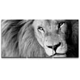 thumbnail image 1 of wall26 - 3 Piece Canvas Wall Art - Close Up of Male Lion, B&amp;W - Modern Home Art Stretched and Framed Ready to Hang - 24"x36"x3 Panels, 1 of 5