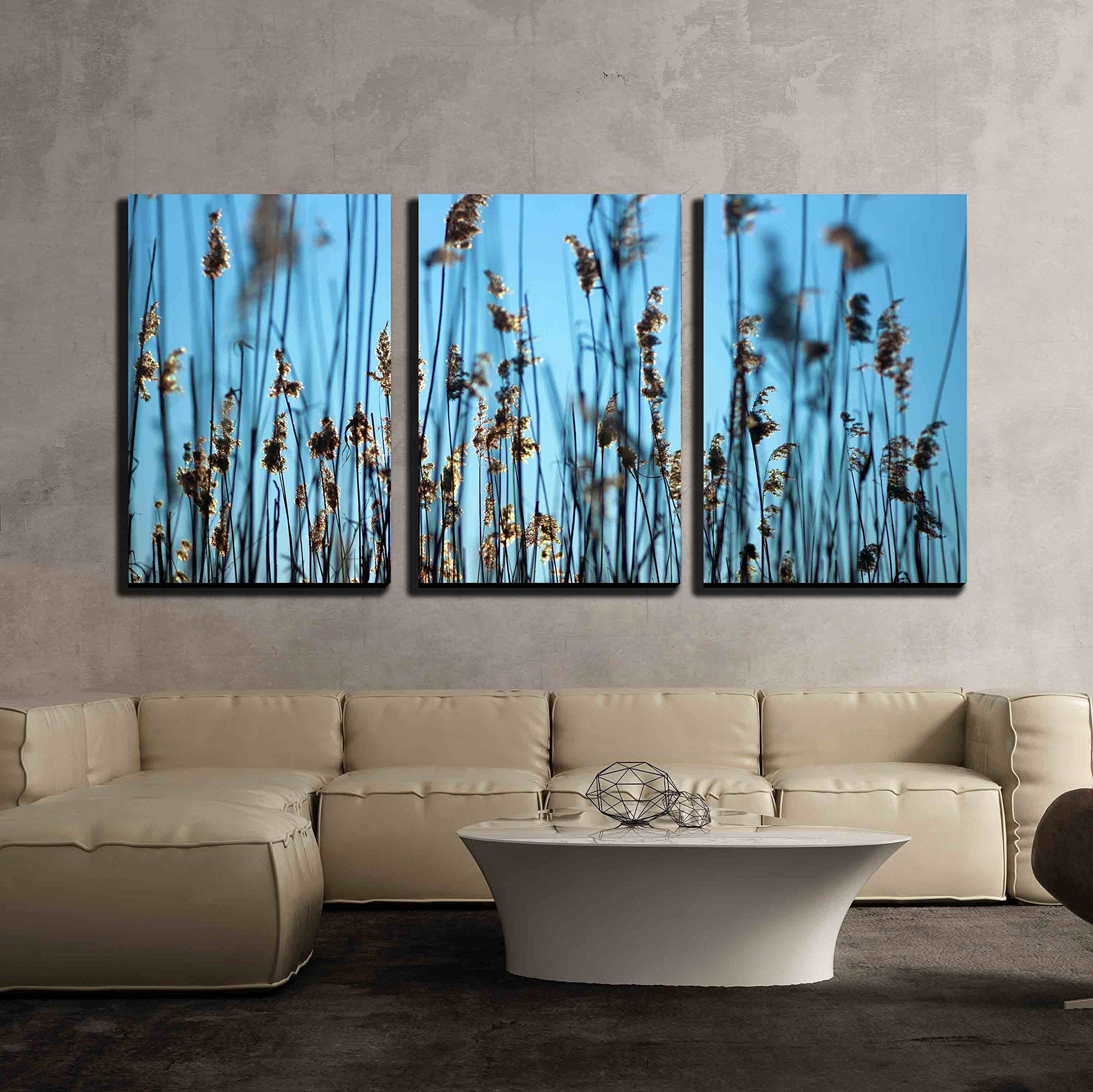 wall26 - 3 Piece Canvas Wall Art - Close Up of Reeds on Blue Sky ...