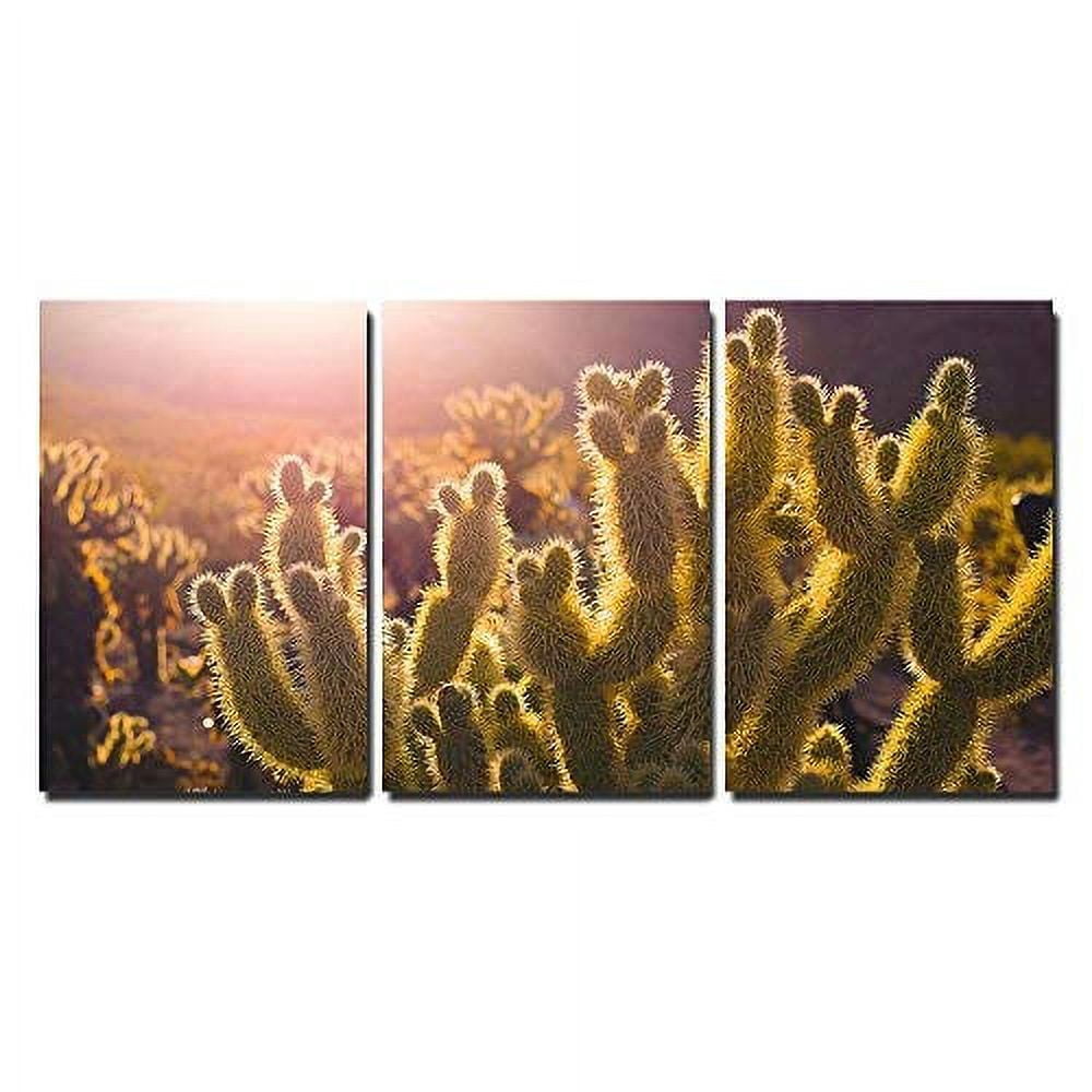Wall26 3 Piece Canvas Wall Art, Cactus at Sunlight Print, Succulent ...