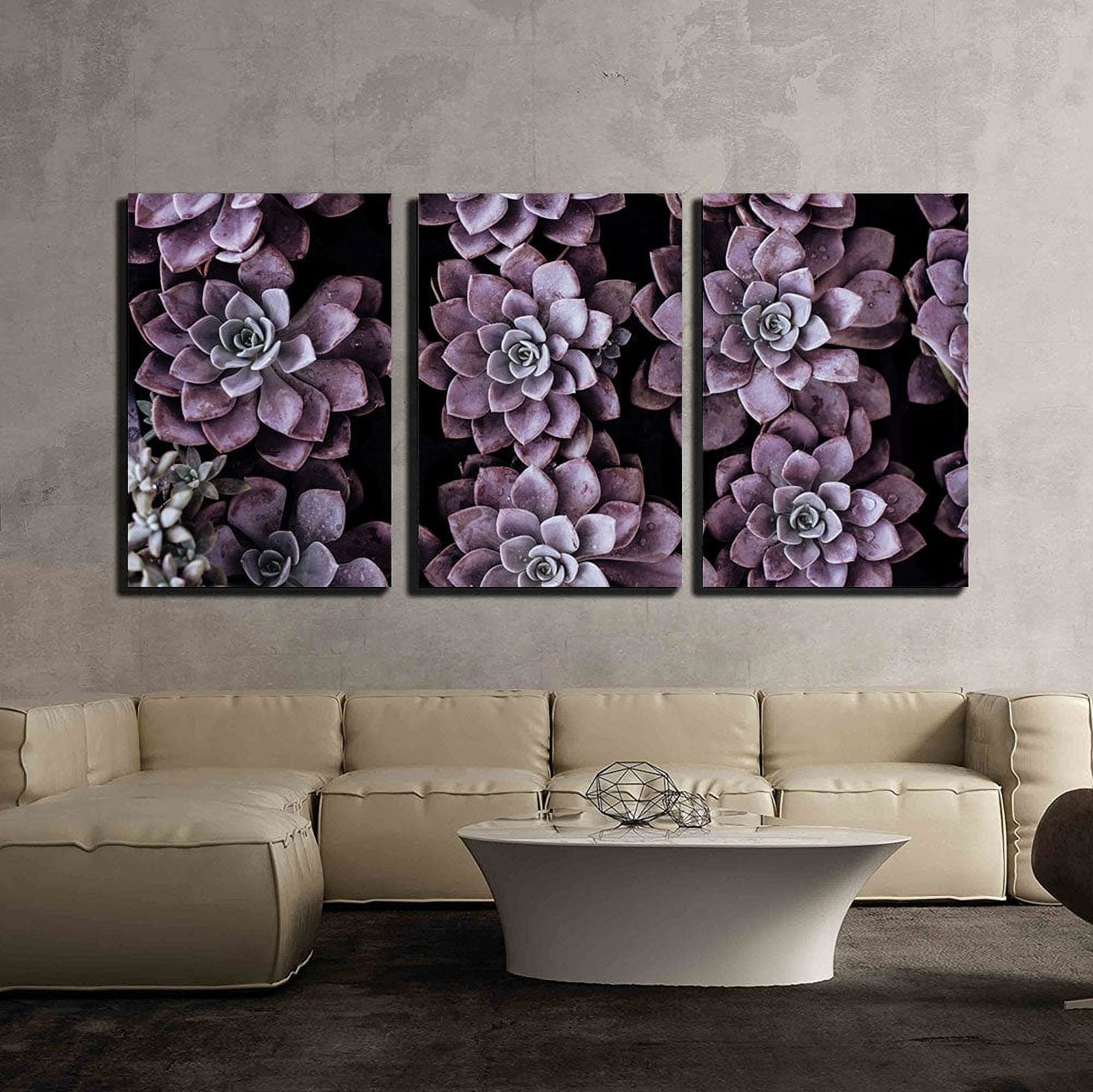 wall26 - 3 Piece Canvas Wall Art - Closeup of Purple Succulent - Modern ...