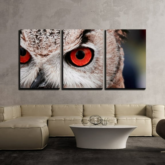 wall26 - 3 Piece Canvas Wall Art - Closeup of an Owl with Red Eyes - Modern Home Art Stretched and Framed Ready to Hang - 16"x24"x3 Panels