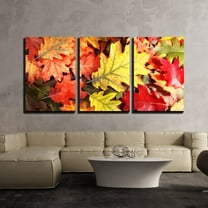 wall26 - 3 Piece Canvas Wall Art - Colorful Oak Autumn Tree Leaves Background. - Modern Home Art Stretched and Framed Ready to Hang - 16"x24"x3 Panels