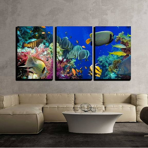 wall26 - 3 Piece Canvas Wall Art - Colorful Underwater Offshore Rocky Reef with Coral and Sponges - Modern Home Art Stretched and Framed Ready to Hang - 16"x24"x3 Panels