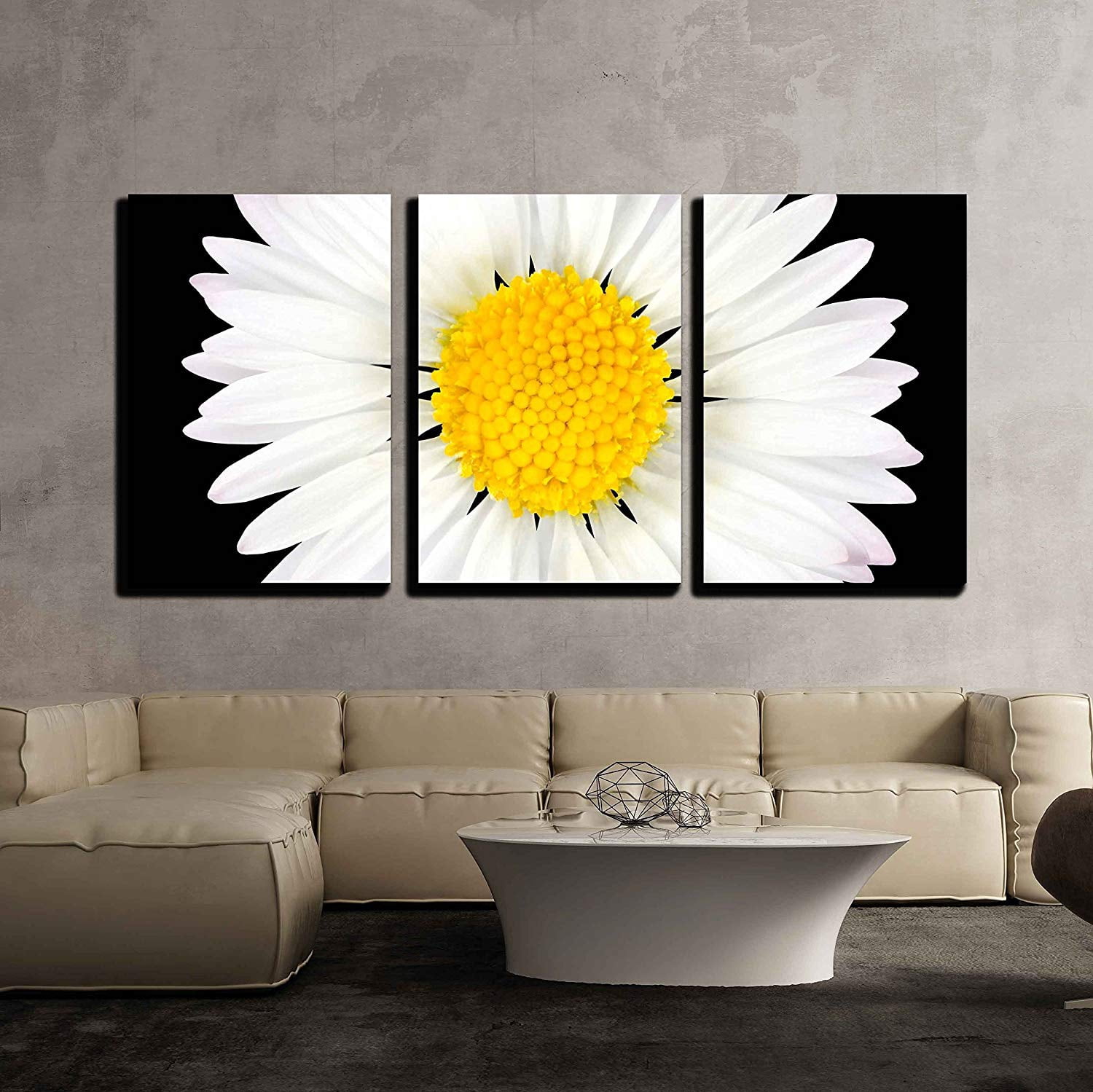 wall26 - 3 Piece Canvas Wall Art - Daisy Flower Isolated on Black ...