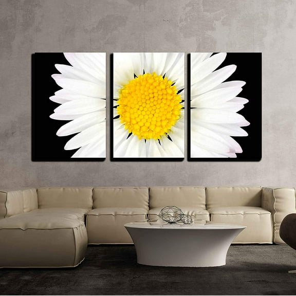 wall26 - 3 Piece Canvas Wall Art - Daisy Flower Isolated on Black Background - White with Yellow Center - Modern Home Art Stretched and Framed Ready to Hang - 24"x36"x3 Panels
