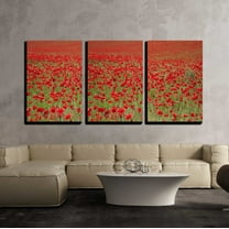 wall26 - 3 Piece Canvas Wall Art - an Entire Fields of Wonderful Red Poppies - Modern Home Art Stretched and Framed Ready to Hang - 16"x24"x3 Panels