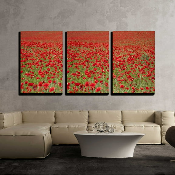 wall26 - 3 Piece Canvas Wall Art - an Entire Fields of Wonderful Red Poppies - Modern Home Art Stretched and Framed Ready to Hang - 16"x24"x3 Panels