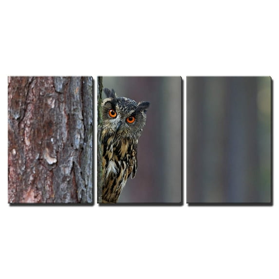 wall26 - 3 Piece Canvas Wall Art - Eurasian Eagle Owl, Bubo Bubo, Hidden of Tree Trunk in The Winter Forest - Modern Home Art Stretched and Framed Ready to Hang - 24"x36"x3 Panels