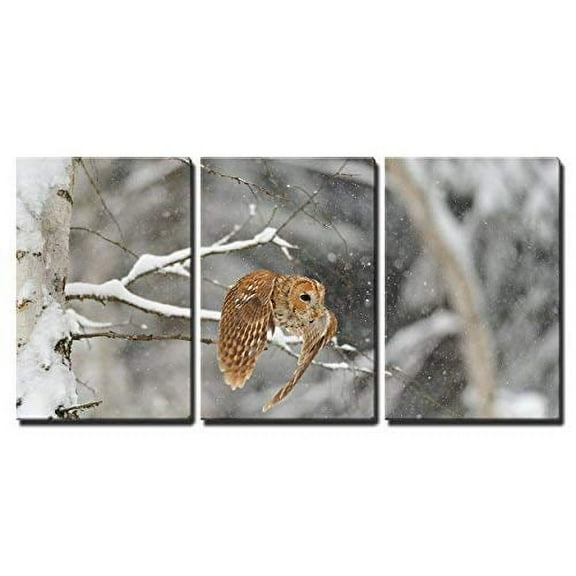 wall26 - 3 Piece Canvas Wall Art - Flying Tawny Owl in Winter Time Whne is Snowing - Modern Home Art Stretched and Framed Ready to Hang - 16"x24"x3 Panels