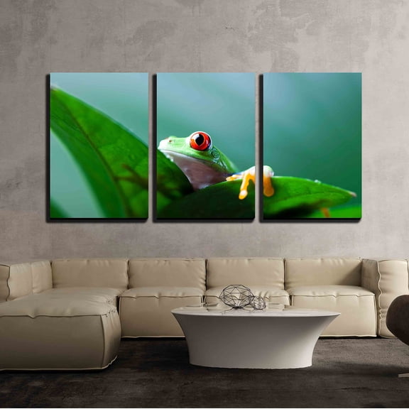 wall26 - 3 Piece Canvas Wall Art - Frog Shadow on The Leaf - Modern Home Art Stretched and Framed Ready to Hang - 16"x24"x3 Panels