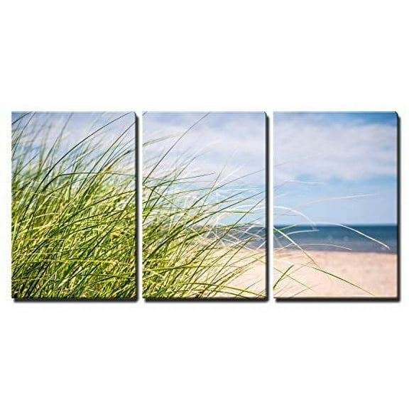 wall26 - 3 Piece Canvas Wall Art - Grass Growing on Sandy Beach at Atlantic Coast of Prince Edward Island, Canada - Modern Home Art Stretched and Framed Ready to Hang - 24"x36"x3 Panels