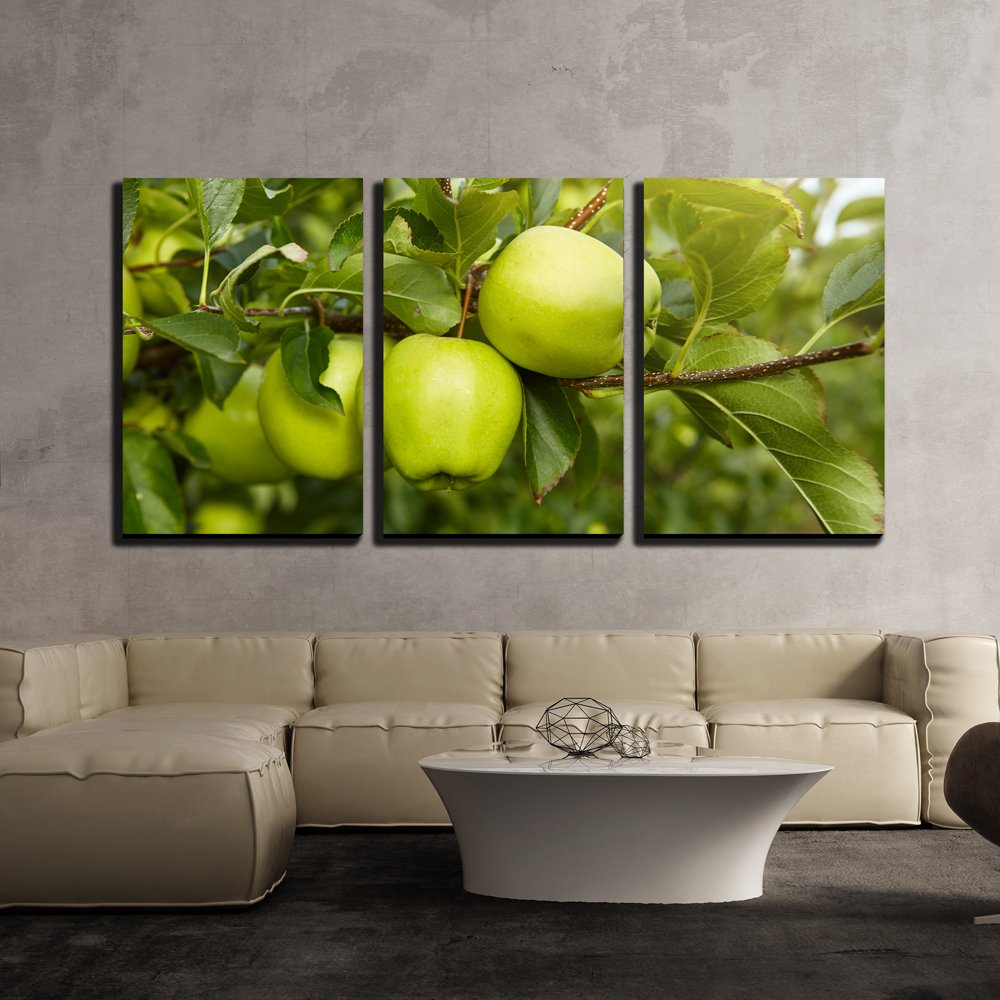 wall26 - 3 Piece Canvas Wall Art - Green Apples in The Orchard - Modern ...
