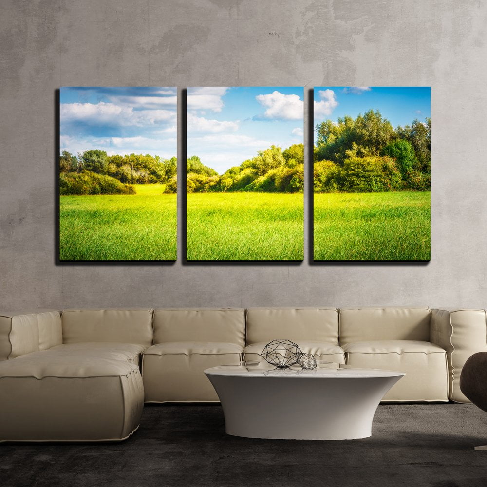 wall26 - 3 Piece Canvas Wall Art - Green Field with Trees and Blue Sky ...