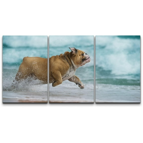 wall26 - 3 Piece Canvas Wall Art - Happy Dog Bulldog Running at The Sea - Modern Home Art Stretched and Framed Ready to Hang - 16"x24"x3 Panels