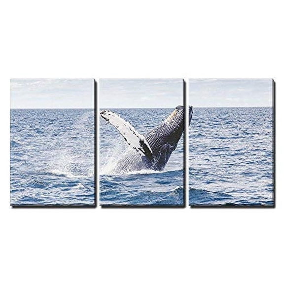 wall26 - 3 Piece Canvas Wall Art - Jumping Whale - Modern Home Art Stretched and Framed Ready to Hang - 16"x24"x3 Panels