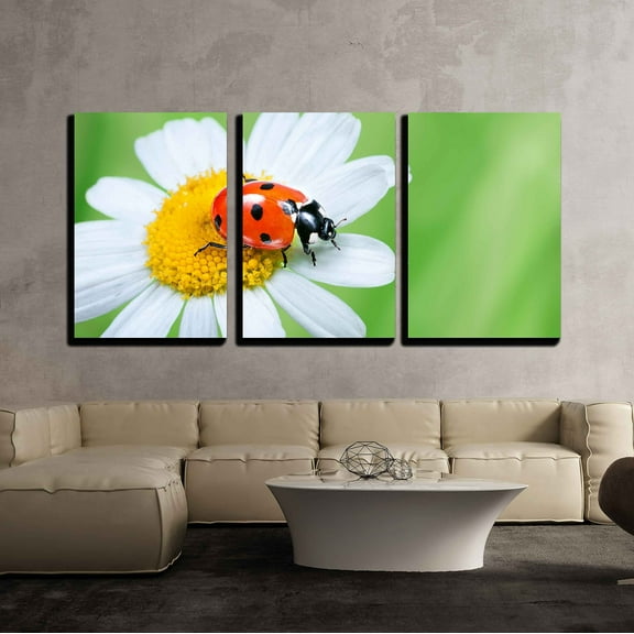wall26 - 3 Piece Canvas Wall Art - Ladybug on Daisy in The Grass - Modern Home Art Stretched and Framed Ready to Hang - 16"x24"x3 Panels
