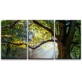 thumbnail image 1 of wall26 - 3 Piece Canvas Wall Art - Mighty Oak Tree - Modern Home Art Stretched and Framed Ready to Hang - 16"x24"x3 Panels, 1 of 7