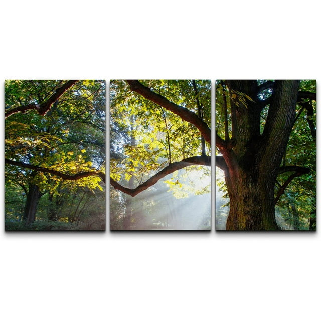 wall26 - 3 Piece Canvas Wall Art - Mighty Oak Tree - Modern Home Art