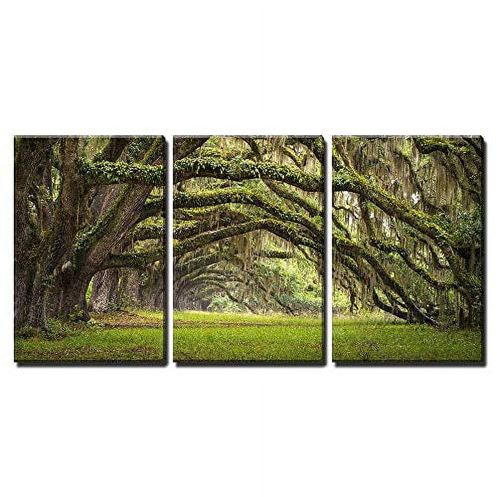 wall26 3 Piece Canvas Wall Art Oaks Avenue Charleston SC Plantation