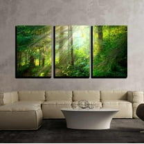 wall26 - 3 Piece Canvas Wall Art - Park. Beautiful Misty Old Forest - Modern Home Art Stretched and Framed Ready to Hang - 16"x24"x3 Panels