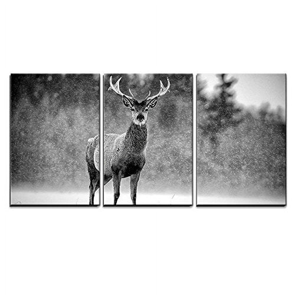 wall26 3 Piece Canvas Wall Art Red Deer Stag Cervus Elaphus in The