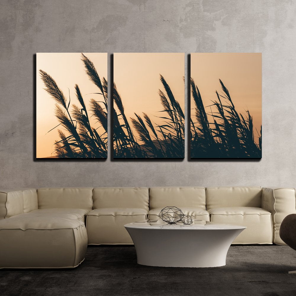 wall26 - 3 Piece Canvas Wall Art - Reeds with Sunset Background ...
