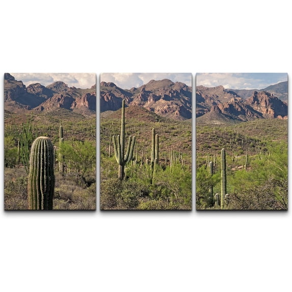 wall26 - 3 Piece Canvas Wall Art - Saguaros in Sonoran Desert. - Modern Home Art Stretched and Framed Ready to Hang - 16"x24"x3 Panels